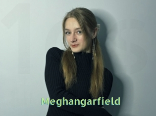 Meghangarfield
