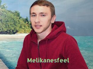 Melikanesfeel