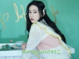 Mengyuan5852