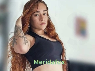 Meridafox