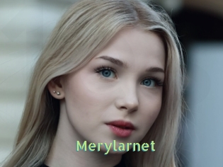 Merylarnet
