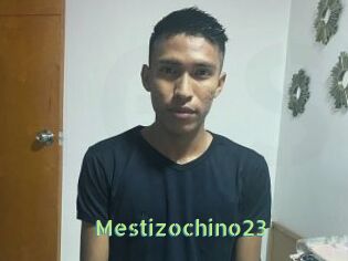 Mestizochino23