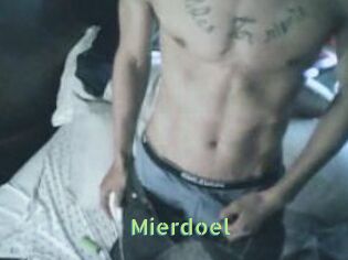 Mierdoel