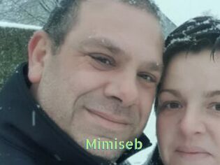 Mimiseb