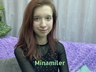 Minamiler