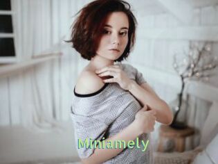 Miniamely