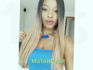 Mirleidycat