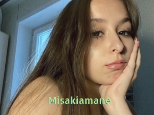 Misakiamane