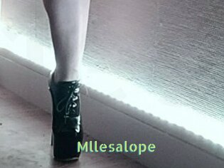 Mllesalope
