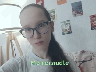 Moirecaudle