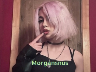 Morgansnus