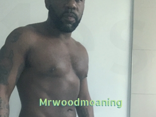 Mrwoodmoaning