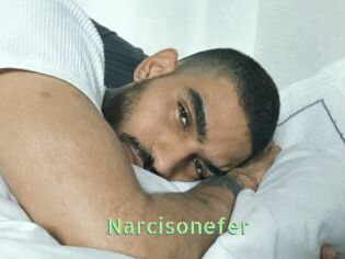 Narcisonefer