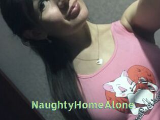 NaughtyHomeAlone