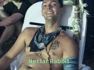 Nectar_Rabbit