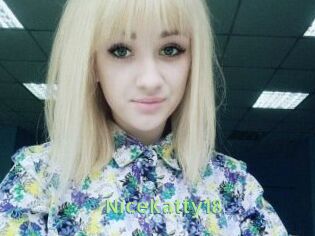 NiceKatty18
