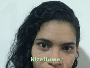 Nice_flower