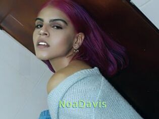 NoaDavis
