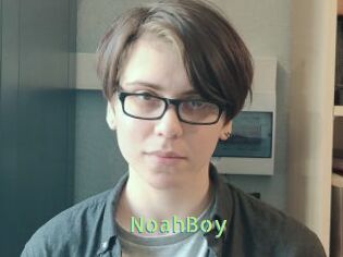 NoahBoy