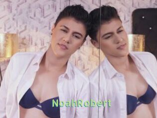 NoahRobert