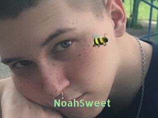 NoahSweet