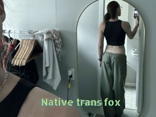 Native_trans_fox