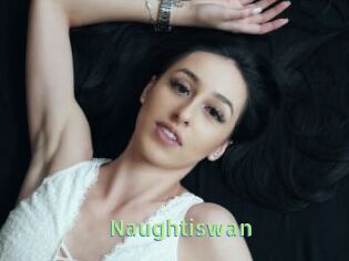 Naughtiswan
