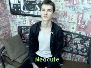 Nedcute