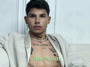 Nedfollin
