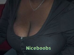 Niceboobs