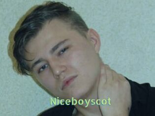 Niceboyscot