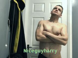 Niceguyharry