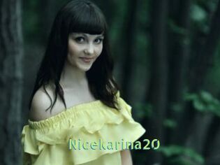 Nicekarina20