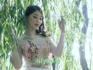 Niyamei
