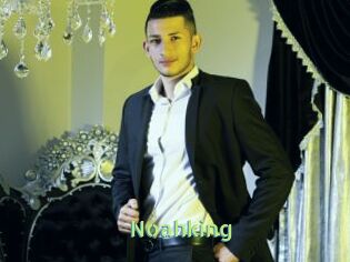 Noahking