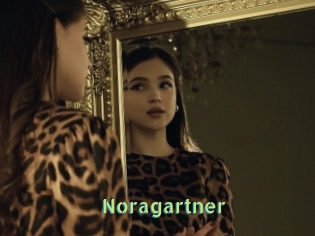 Noragartner