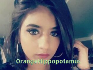 OrangeHippopotamus