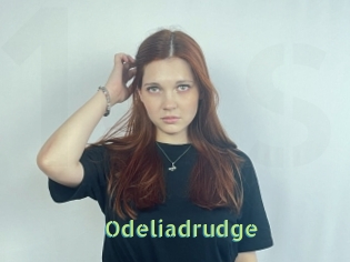 Odeliadrudge