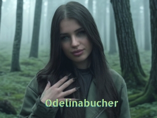 Odelinabucher