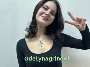 Odelynagrindel