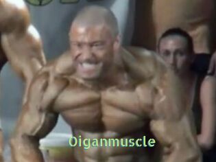 Oigan_muscle