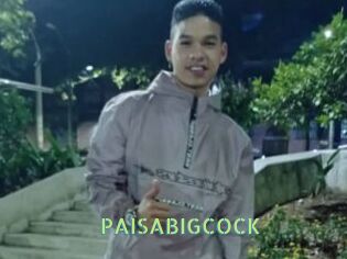 PAISABIGCOCK