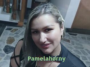 Pamelahorny