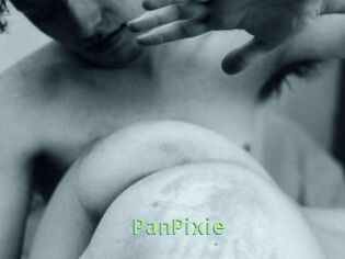 PanPixie