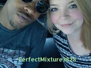 PerfectMixture3828