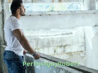 PerfectguyRobert