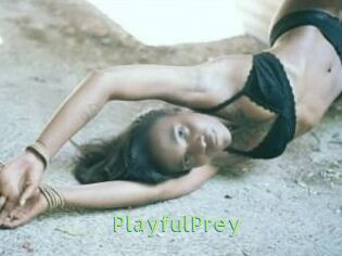 PlayfulPrey