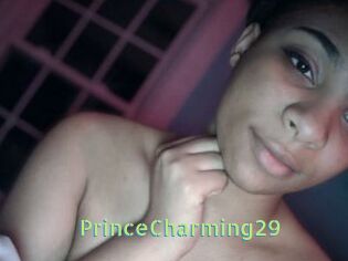 PrinceCharming29