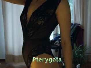 Pterygota