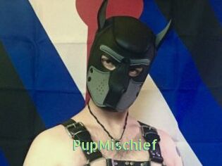 PupMischief